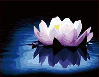 Lotus on the pond