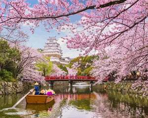 Boat Ride under Sakura in Japan
