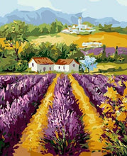 Tuscany Lavender Field