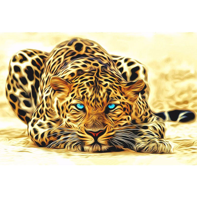 Leopard blue eyes