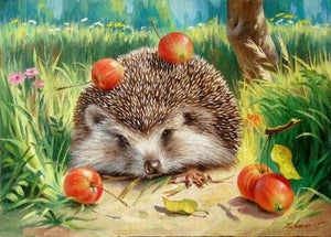 Hedgehog with apples