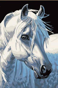 White horse - DIY Paint By Numbers Kits for Adults