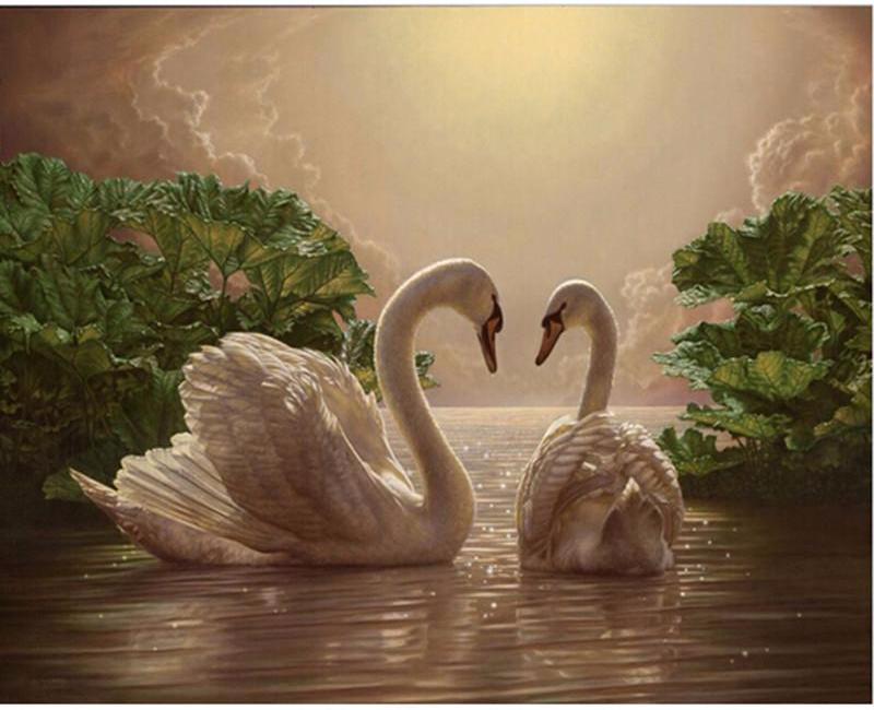 Two swans in water - DIY Paint By Numbers Kits for Adults