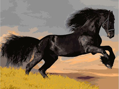 Black stallion leaping - DIY Paint By Numbers Kits for Adults