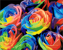 Colourful roses