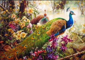 Colorful peacocks in forest - DIY Paint By Numbers Kits for Adults