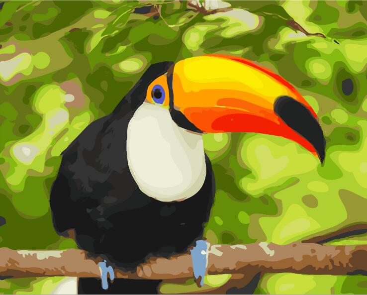 Toco Toucan on branch - DIY Paint By Numbers Kits for Adults