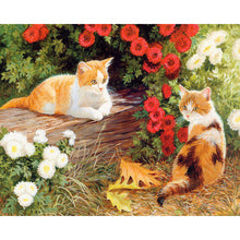 Two cats amongst flowers