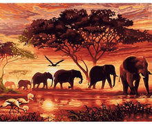 Elephant herd at sunset