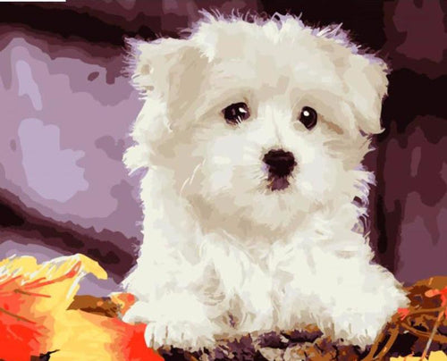 White puppy dog - DIY Paint By Numbers Kits for Adults