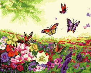 Butterflies amongst a field of flowers