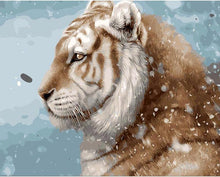 Lone snow tiger