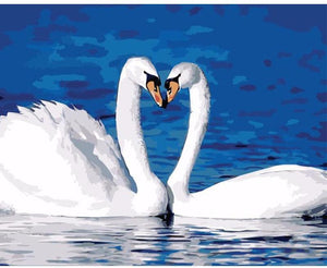Swan lovers