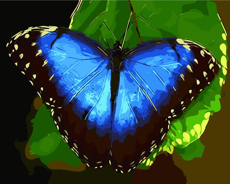 Blue butterfly resting on leaf - DIY Paint By Numbers Kits for Adults