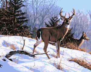 Deers in snow - DIY Paint By Numbers Kits for Adults