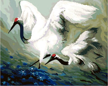Two cranes - DIY Paint By Numbers Kits for Adults
