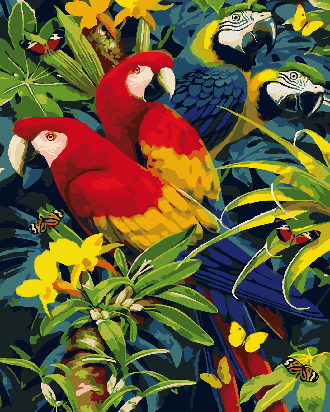 Four colorful parrots - DIY Paint By Numbers Kits for Adults