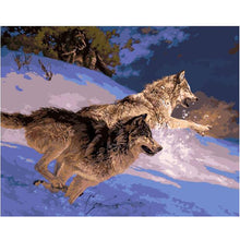 Two wolves running down snowy hill - DIY Paint By Numbers Kits for Adults