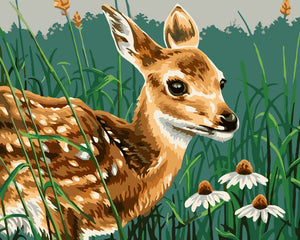 Baby deer with daisies - DIY Paint By Numbers Kits for Adults