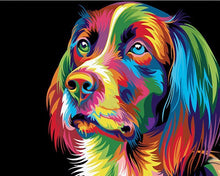 Colorful cocker spaniel dog