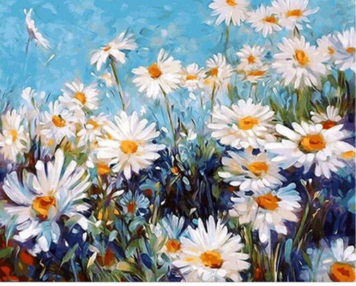 White field of daisies