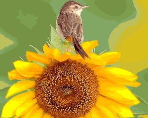 Bird on large sunflower