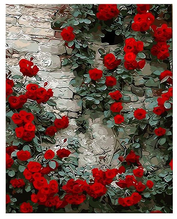 Climbing Wall Roses
