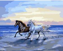 Brown and White Horse running on the sand