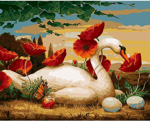 Swan laying eggs