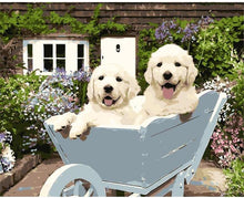 Happy Puppies in Wheel Barrow