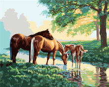 Horse family of three