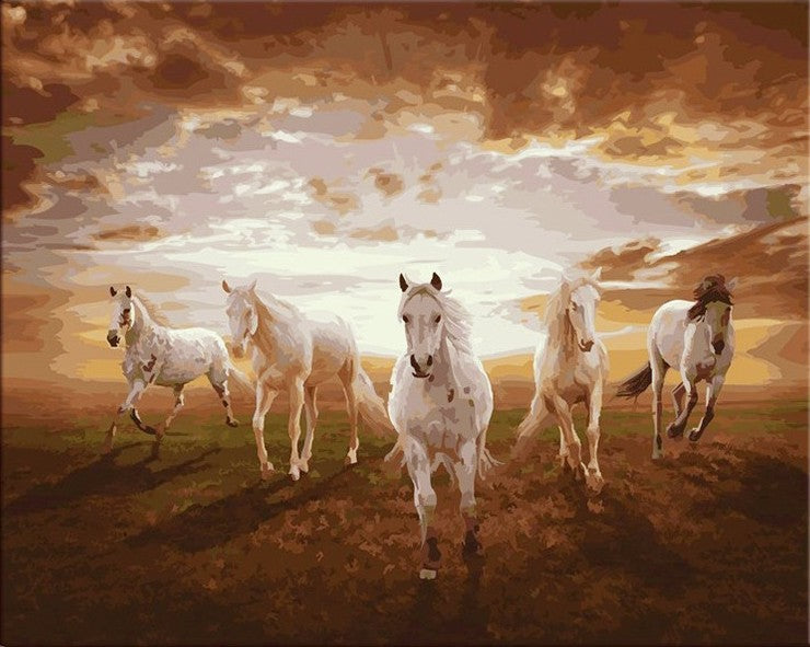 Five White Horses Running - DIY Paint By Numbers Kits for Adults